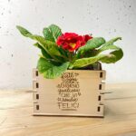 Cassettina primavera per fiori - coprivaso - 15 cm Cassettina primavera per fiori - coprivaso - 15 cm