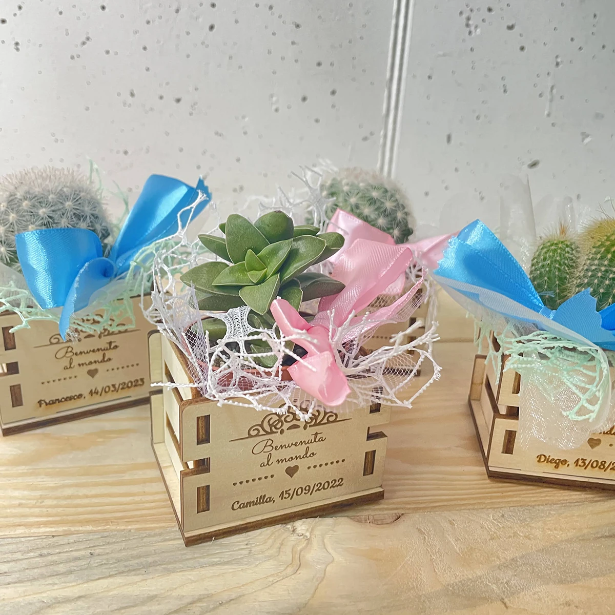 Cassetta Piantina Con Frase Personalizzata Bomboniere (2)