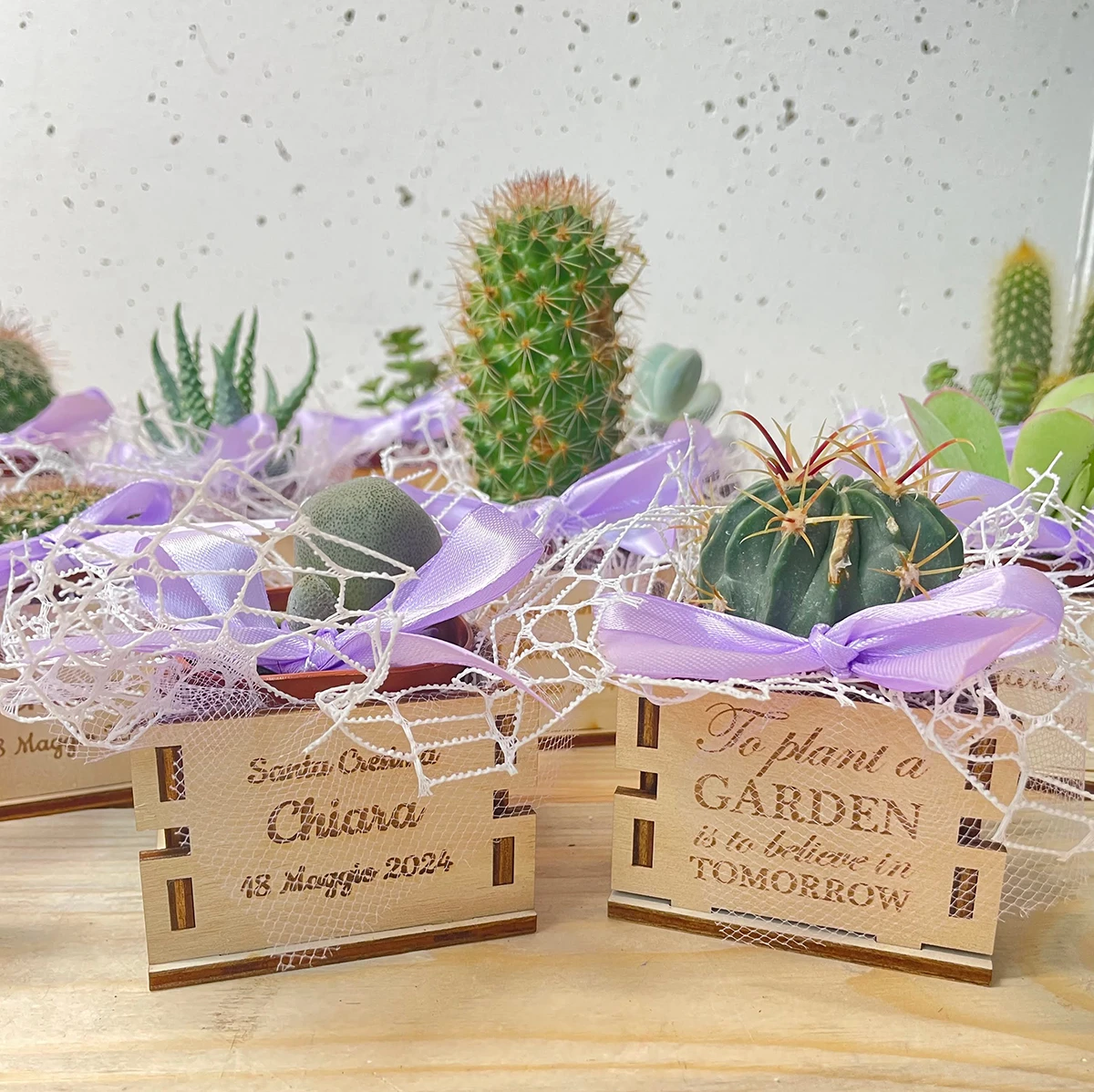 Cassetta Piantina Con Frase Personalizzata Bomboniere (3)