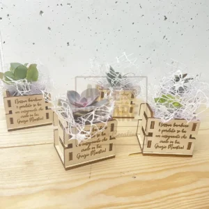 Cassettina Per Succulente Grazie Maestra In Legno Coprivaso 7 Cm